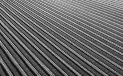 İlk 6 ayda 265 milyar TL’lik tarımsal varlık güvence altına alındı