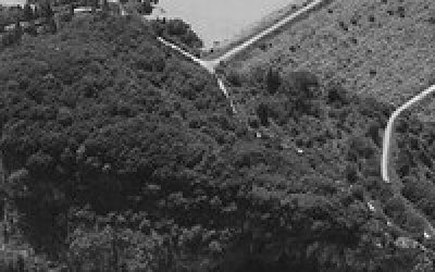 TARSİM’den Düzce ziyareti